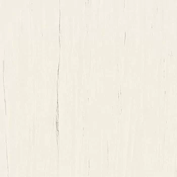 Marvel Stone Bianco Dolomite 120x120