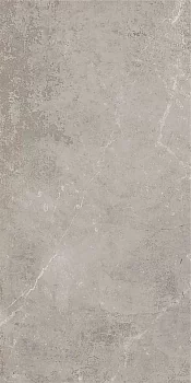 Monolith Grey 59.5x120