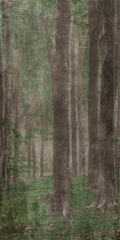 Wide&Style Woods A 160x320