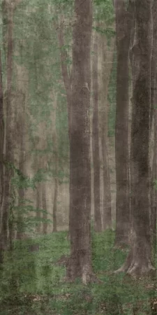 Wide and Style Woods A 160x320