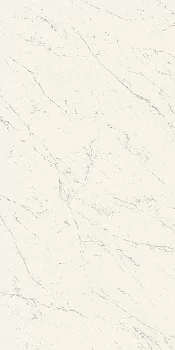 Marvel Stone Carrara Pure Matt 120x278