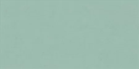 Wide and Style Mini Mint 60x120