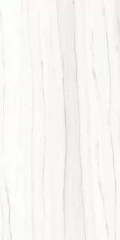 Marmi Classici Zebrino Bianco lux 60x120