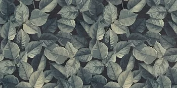 Wide&Style Mini Foliage 60x120