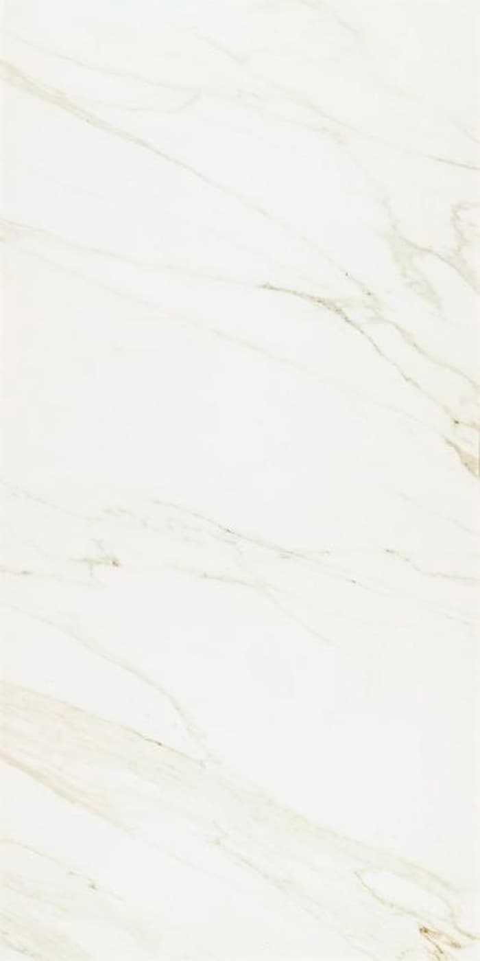 Evolutionmarble Calacatta 60x120