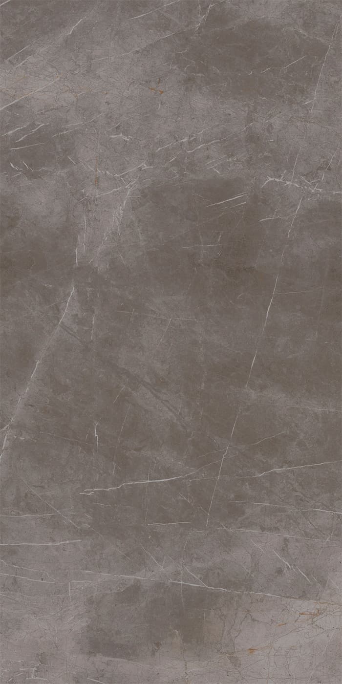 Evolutionmarble Grey 60x120