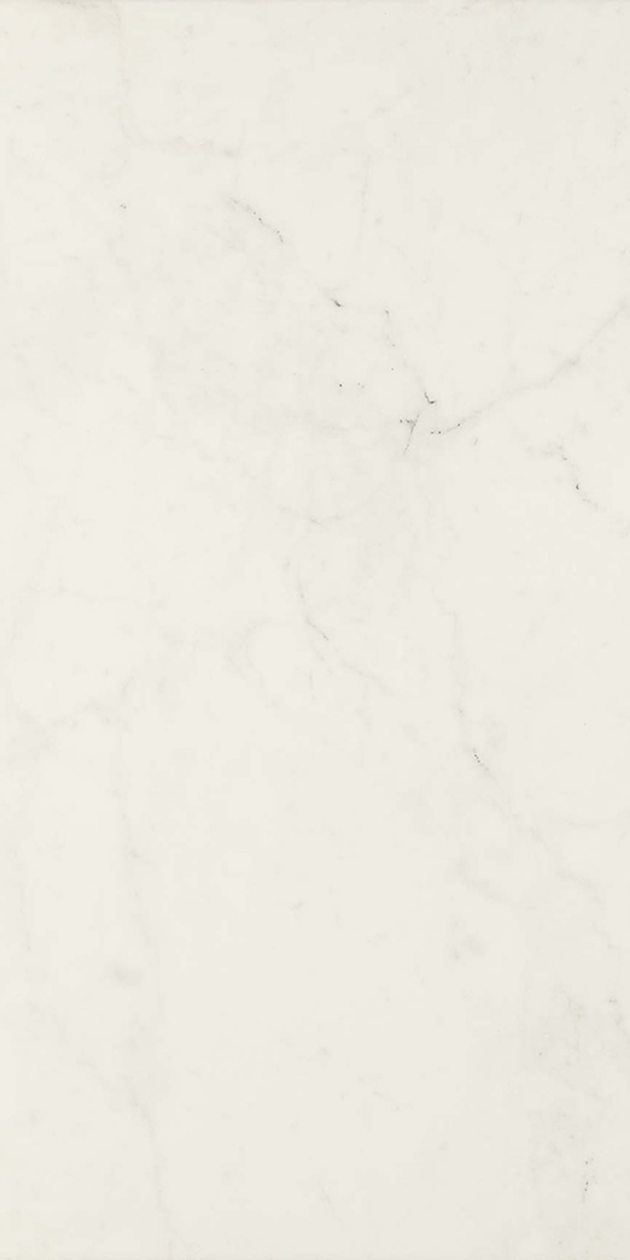 Allmarble Altissimo 60x120