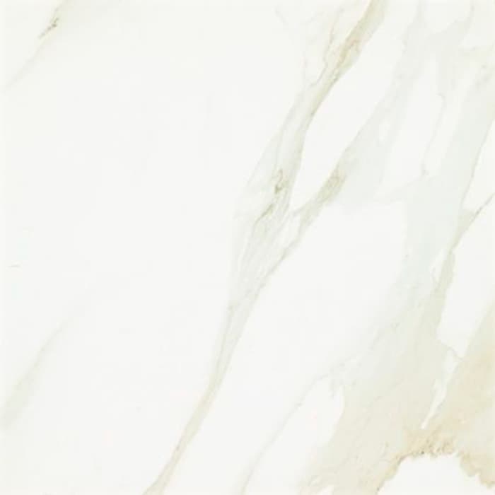 Evolutionmarble Calacatta 60x60