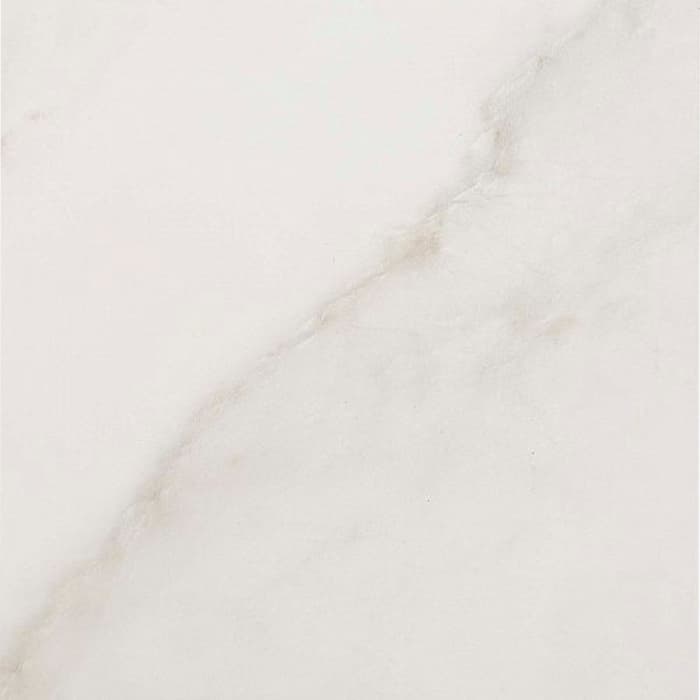 Evolutionmarble Calacatta Oro 60x60