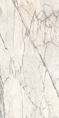 Ragno Maiora Marble Effect Calacatta Oro Glossy Rett 120x240 / Ранье Майорамарблеэффекткалачаттауроглосыреть120Х240
 