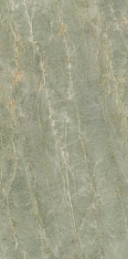 Caesar Anima Ever Sage Green lux 60x120 / Чезар Анима Эвер Сейж Грин Люкс
 60x120 