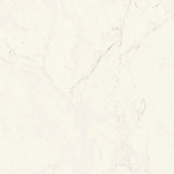 Напольная Grande Marble Look Altissimo 120x120