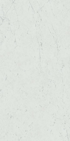 Напольная Marvel Stone Carrara Pure Lapp 120x240