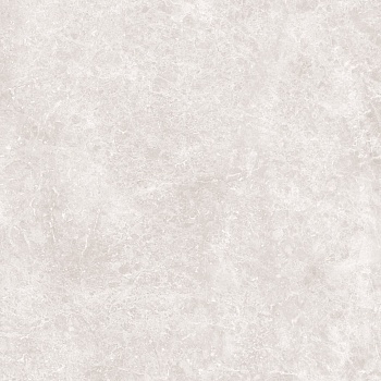 Напольная Marble Light Grey Polished 59.2x59.2