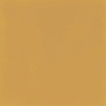 Напольная D_Segni Colore Mustard 20x20