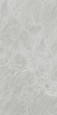 Ariostea Marmi Classici Gris De Savoie lux Shiny 60x120 / Ариостея Марми Классичи Грис Де Савойе Люкс
 Шайн 60x120 