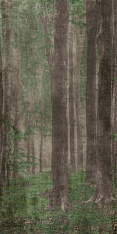 ABK Wide&Style Woods A 160x320 / Абк
 Вайд Энд Стайл Вудс А 160x320 