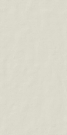 Напольная Neutra 6.0 Bianco 6mm Rett 120x240