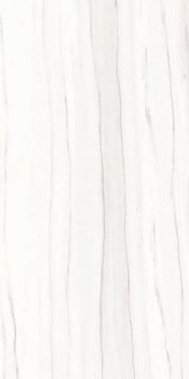 Ariostea Marmi Classici Zebrino Bianco lux 60x120 / Ариостея Марми Классичи Зебрино Бьянко Люкс
 60x120 