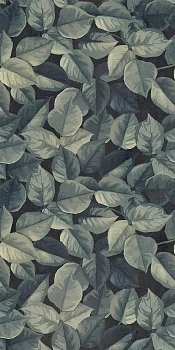 Напольная Wide&Style Mini Foliage 60x120