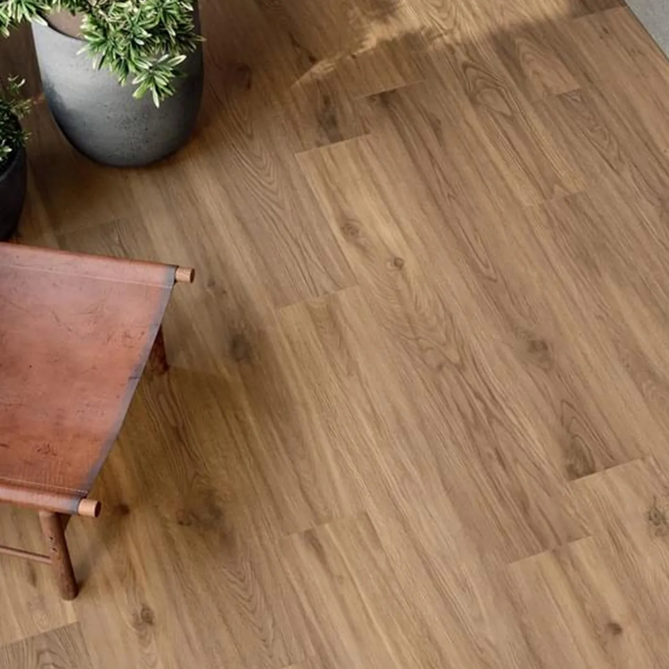 Elisir Royal - фото 5