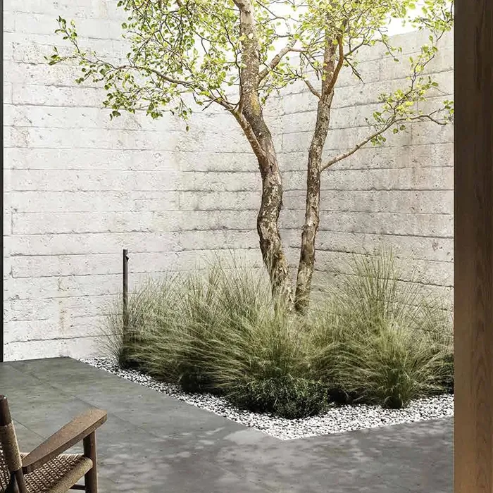 Avantgarde X2 - фото 3