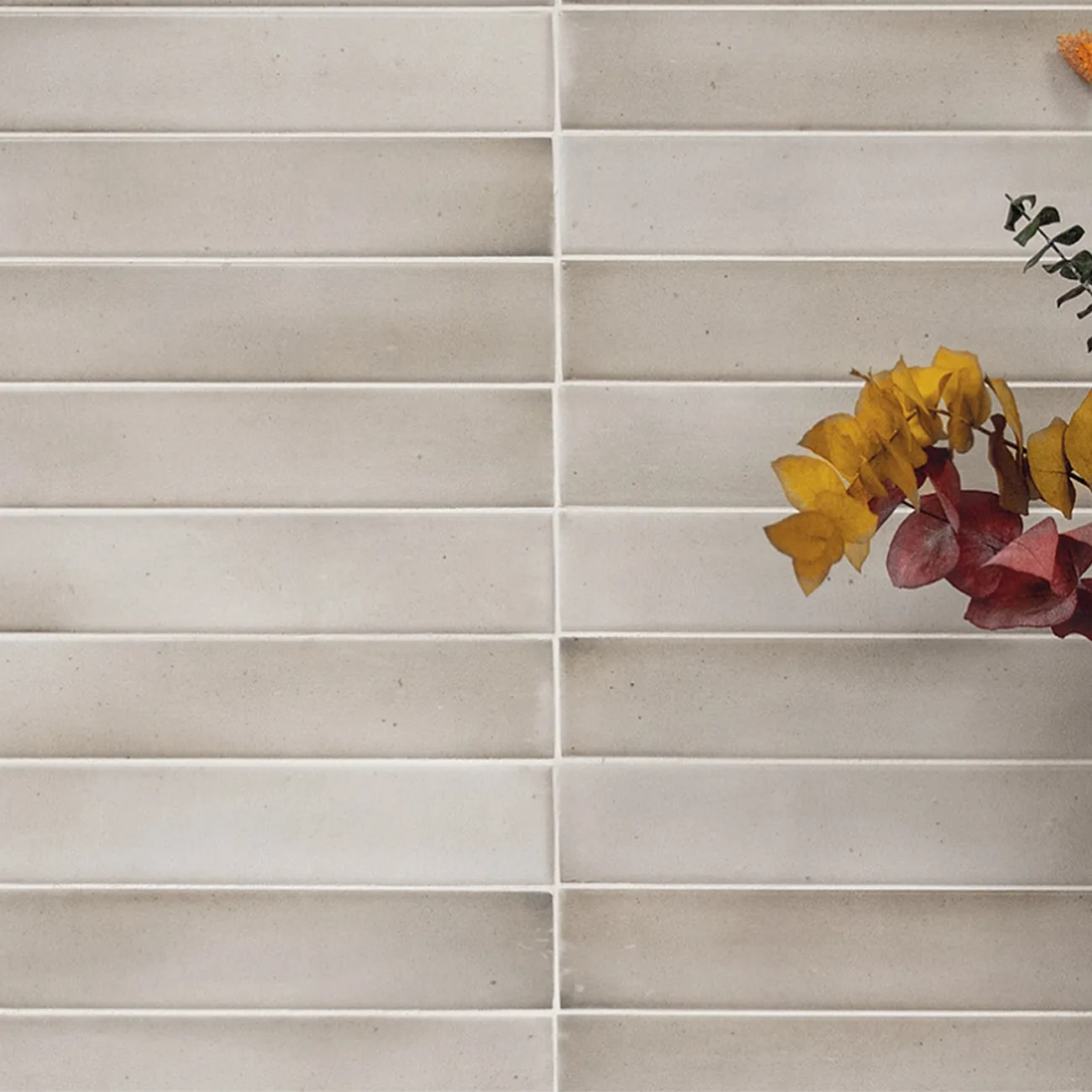 Massimo - фото 3