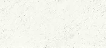 FAP Ceramiche Roma Diamond Carrara Brillante 50x110 / Фап
 Керамиче Рома Диамонд Каррара Брилланте 50x110 